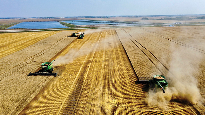 Three combines going over crops, just north of Moosomin, during harvest in August. Aerial shot by Kevin Weedmark.<br />
